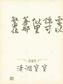 繁华似锦电视剧在哪里可以看全集