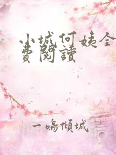 小城何姨全文免费阅读