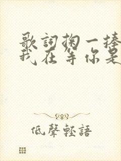 歌词掬一捧秋风我在等你是什么歌