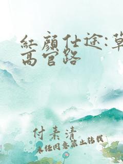 红颜仕途:草根高官路