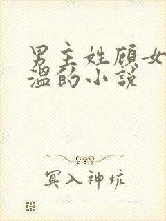 男主姓顾女主姓温的小说