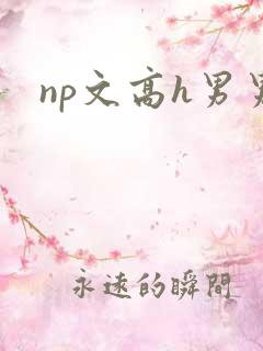 np文高h男男