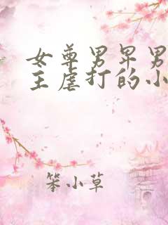 女尊男卑男被女主虐打的小说