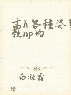 高h各种姿势调教np肉