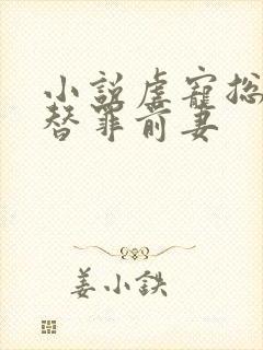 小说虐宠总裁的替罪前妻