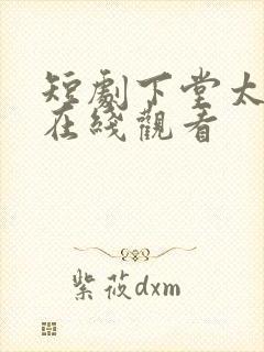 短剧下堂太子妃在线观看