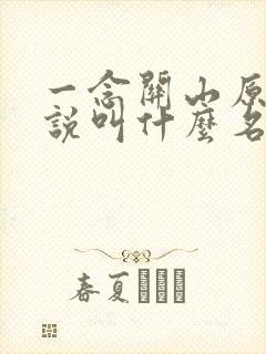 一念关山原著小说叫什么名字