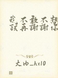 我不敢不想不应该再谢谢你的爱