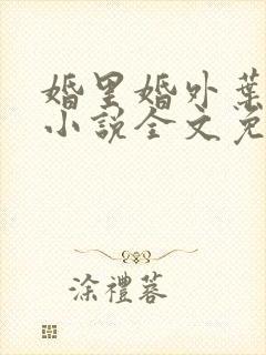 婚里婚外叶晓井小说全文免费阅读