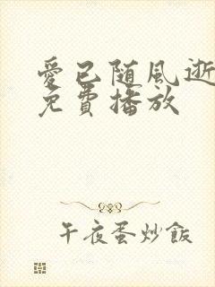 爱已随风逝短剧免费播放