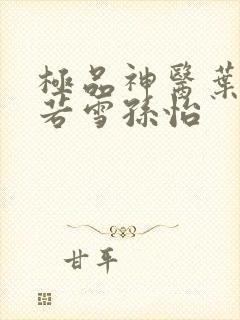 极品神医叶辰夏若雪孙怡