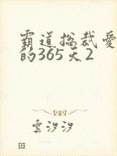 霸道总裁爱上我的365天2