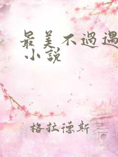 最美不过遇见你 小说