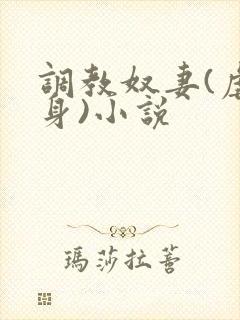 调教奴妻(虐女身)小说