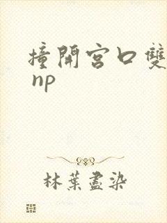 撞开宫口双性h np