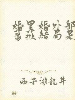 婚里婚外那些事葛薇结局是什么