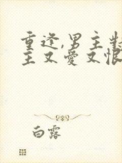 重逢,男主对女主又爱又恨