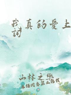 我真的爱上你歌词