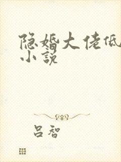 隐婚大佬低调宠小说