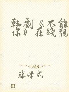 韩剧《不能没有你》在线观看