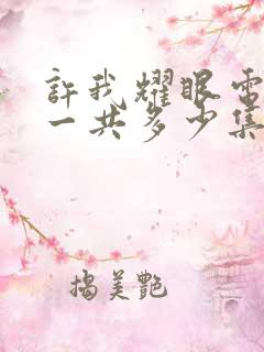 许我耀眼电视剧一共多少集