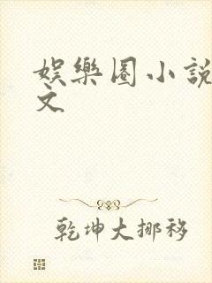 娱乐圈小说甜宠文