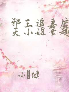 邪王追妻废材逆天小姐笔趣阁