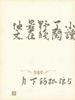 他最野了小说全文在线阅读