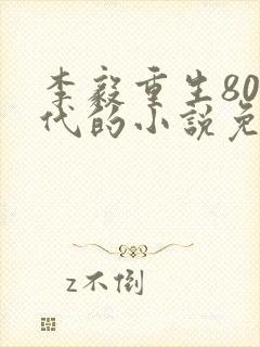 李毅重生80年代的小说免费阅读