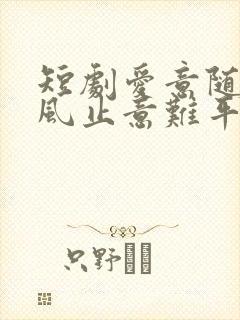 短剧爱意随风起风止意难平