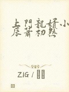 上门龙婿小说叶辰萧初然