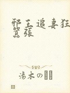 邪王追妻狂妃很嚣张