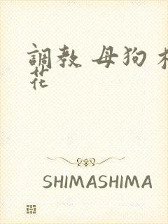 调教 母狗 校花