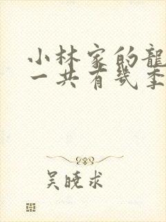 小林家的龙女仆一共有几季