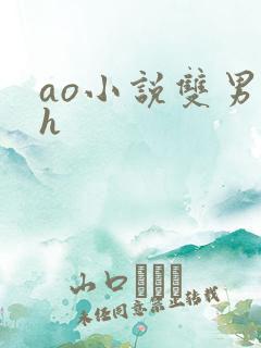 ao小说双男主h