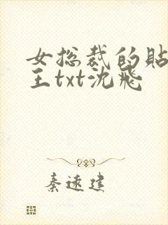 女总裁的贴身兵王txt沈飞