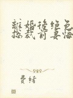 离婚后绝色高冷总裁前妻悔断肠