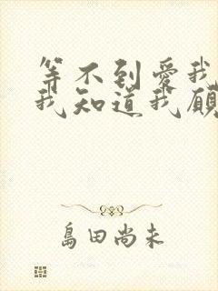 等不到爱我的人我知道我愿意在等