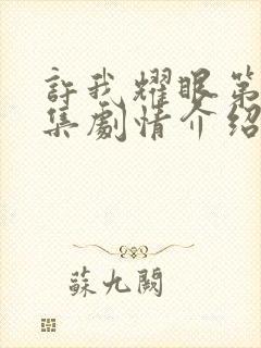 许我耀眼第10集剧情介绍