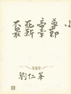 不死帝尊 小说最新章节