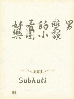 好看的双男主娱乐圈小说