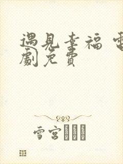 遇见幸福 电视剧免费