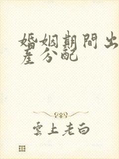 婚姻期间出轨财产分配