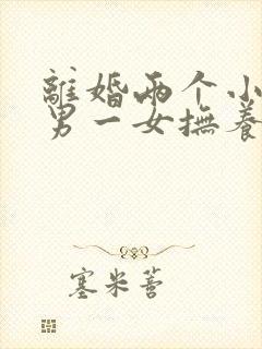 离婚两个小孩一男一女抚养权怎么判定