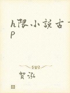 h限小说古言np