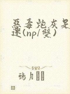 恶毒炮灰是万人迷(np/双)