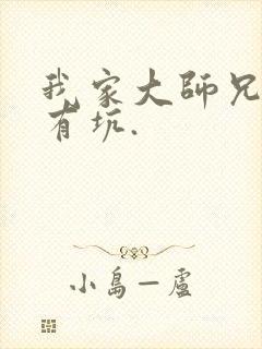 我家大师兄脑子有坑.