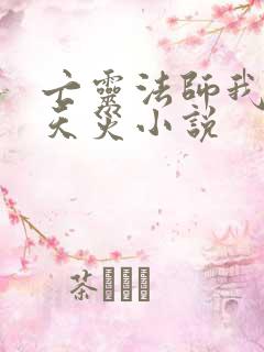 亡灵法师我即是天灾小说