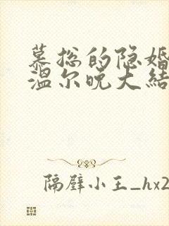 慕总的隐婚罪妻温尔晚大结局