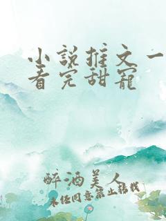 小说推文一口气看完甜宠